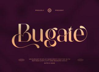 Bugate || Elegant Classy Sans Serif Font preview image 1