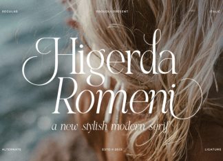 Higedra Romeni || Elegant Classy Serif Font preview image 1