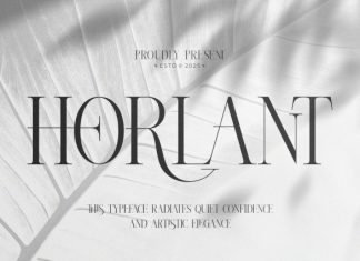 Horlant || Modern Minimalist Serif Font preview image 1