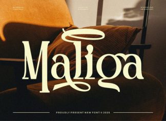 Maliga || Modern Classy Serif Font preview image 1