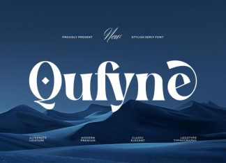 Qufyne || Elegant Classy Serif Font preview image 1