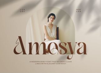 Amesya || Modern Minimalist Serif Font preview image 1