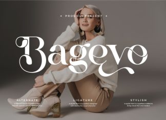 Bagevo || Modern Classy Serif Font preview image 1