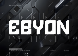 Ebyon || Modern Futuristic Display Font preview image 1