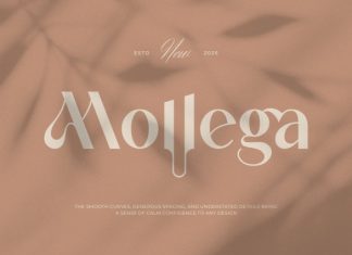 Mollega || Modern Minimalist Sans Serif Font preview image 1