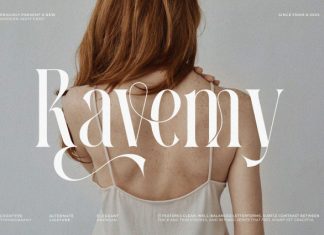 Ravemy || Elegant Classy Serif Font preview image 1