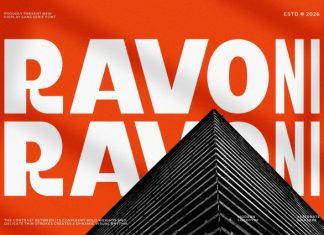 Ravoni || Modern Futuristic Sans Serif Font preview image 1