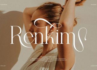 Rankim || Modern Classy Serif Font preview image 1
