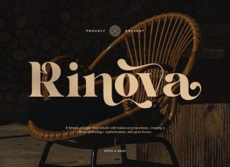 Rinova || Modern Vintage Serif Font preview image 1