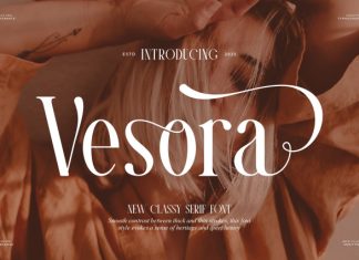 Vesora || Modern Classy Serif Font preview image 1