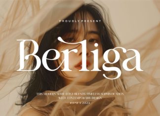 Berliga || Modern Classy Serif Font preview image 1
