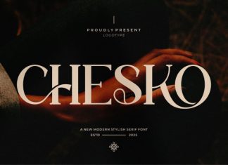 Chesko || Modern Classy Serif Font preview image 1