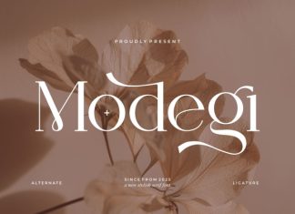 Modegi || Elegant Classy Serif Font preview image 1