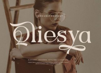 Qliesya || Modern Elegant Serif Font preview image 1