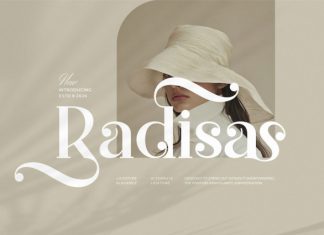 Radisa || Modern Classy Serif Font preview image 1