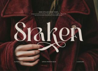 Sraken || Modern Elegant Serif Font preview image 1