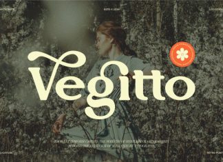 Vegitto || Vintage Retro Serif Font preview image 1