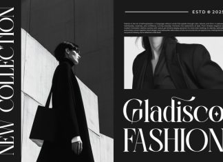 Berosh || Modern Classy Serif Font preview image 2