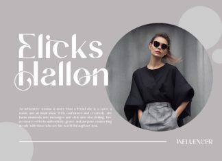 Biciha || Modern Minimalist Sans Serif Font preview image 2