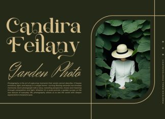 Bikary || Modern Classy Serif Font preview image 2