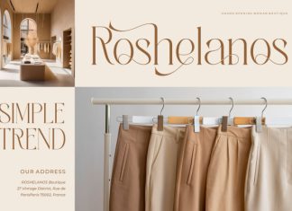 Voreto || Modern Classy Serif Font preview image 2