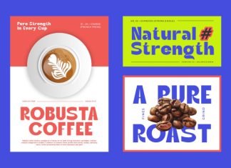 Aglea || Modern Bold Sans Serif Font preview image 2