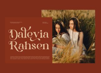 Bagevo || Modern Classy Serif Font preview image 2