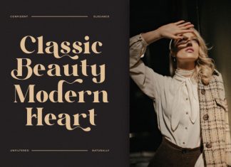 Rinova || Modern Vintage Serif Font preview image 2