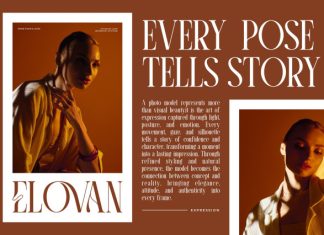 Vesora || Modern Classy Serif Font preview image 2