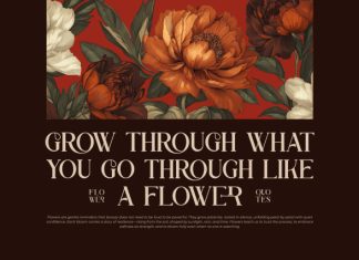 Chesko || Modern Classy Serif Font preview image 2