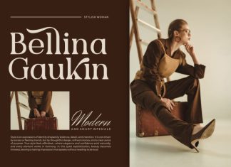 Qliesya || Modern Elegant Serif Font preview image 2