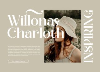 Radisa || Modern Classy Serif Font preview image 2