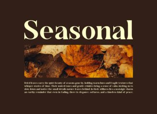 Ebotra || Modern Classy Serif Font preview image 3