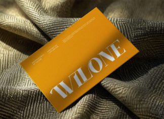 Mothe Nikiez || Elegant Smooth Serif Font preview image 3