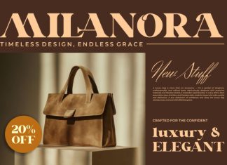 Nittalo || Modern Classy Serif Font preview image 3