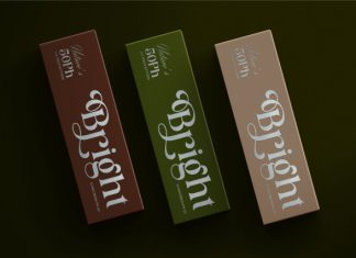 Beldom || Vintage Classy Serif Font preview image 3