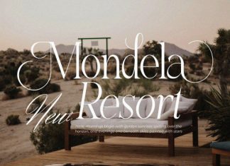 Higedra Romeni || Elegant Classy Serif Font preview image 3