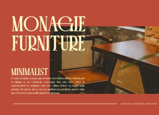Maliga || Modern Classy Serif Font preview image 3