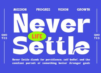 Aglea || Modern Bold Sans Serif Font preview image 3