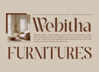 Amesya || Modern Minimalist Serif Font preview image 3