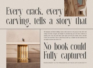 Ravemy || Elegant Classy Serif Font preview image 3