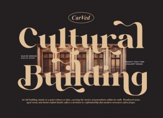Rinova || Modern Vintage Serif Font preview image 3