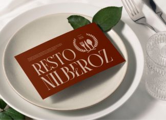 Vesora || Modern Classy Serif Font preview image 3