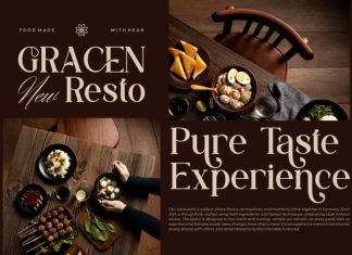 Chesko || Modern Classy Serif Font preview image 3