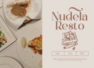 Radisa || Modern Classy Serif Font preview image 3