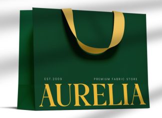 Pagio – Modern Luxury Serif Font preview image 2