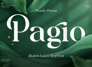 Pagio – Modern Luxury Serif Font preview image 1