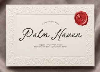 Palm Haven Font preview image 1