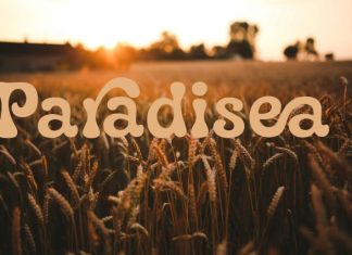 Paradisea Font preview image 1