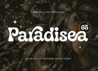 Paradisea Font preview image 2